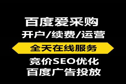 SEM推广案例：快速提升关键词排名